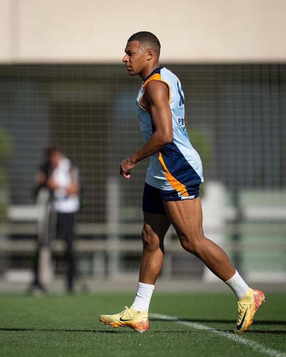 正因为它像 正因为它像