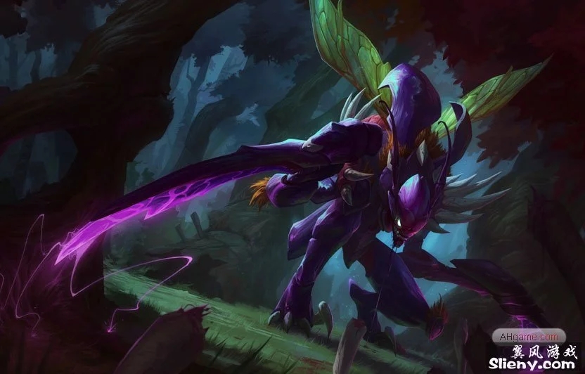 谁来做主 谁来做主